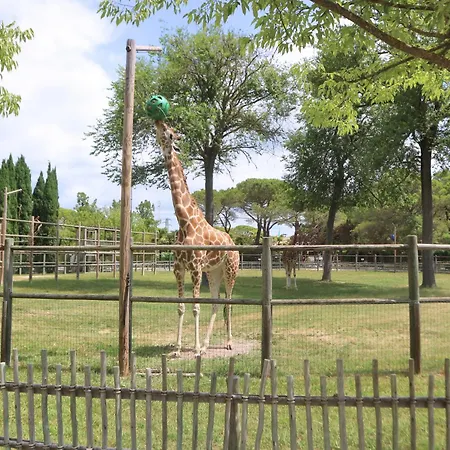 Magnolia * Lignano Sabbiadoro