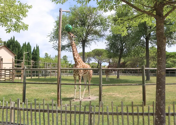 Magnolia * Lignano Sabbiadoro