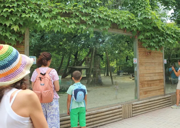 Magnolia Appartement